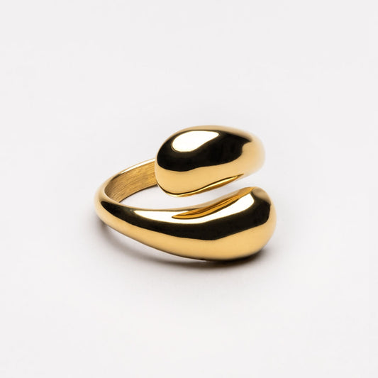 Anillo Doble Giro