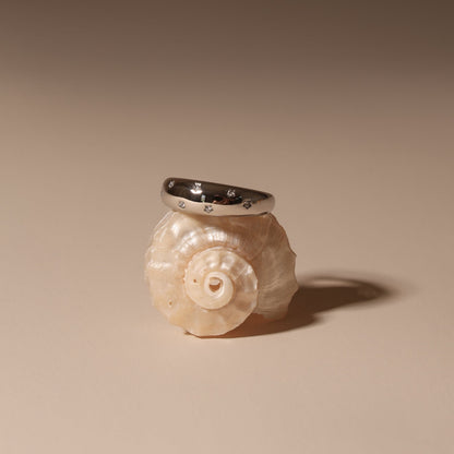 Anillo de la Vía Láctea