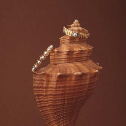 Anillo de la Paz