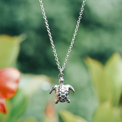 Collar de tortuga marina