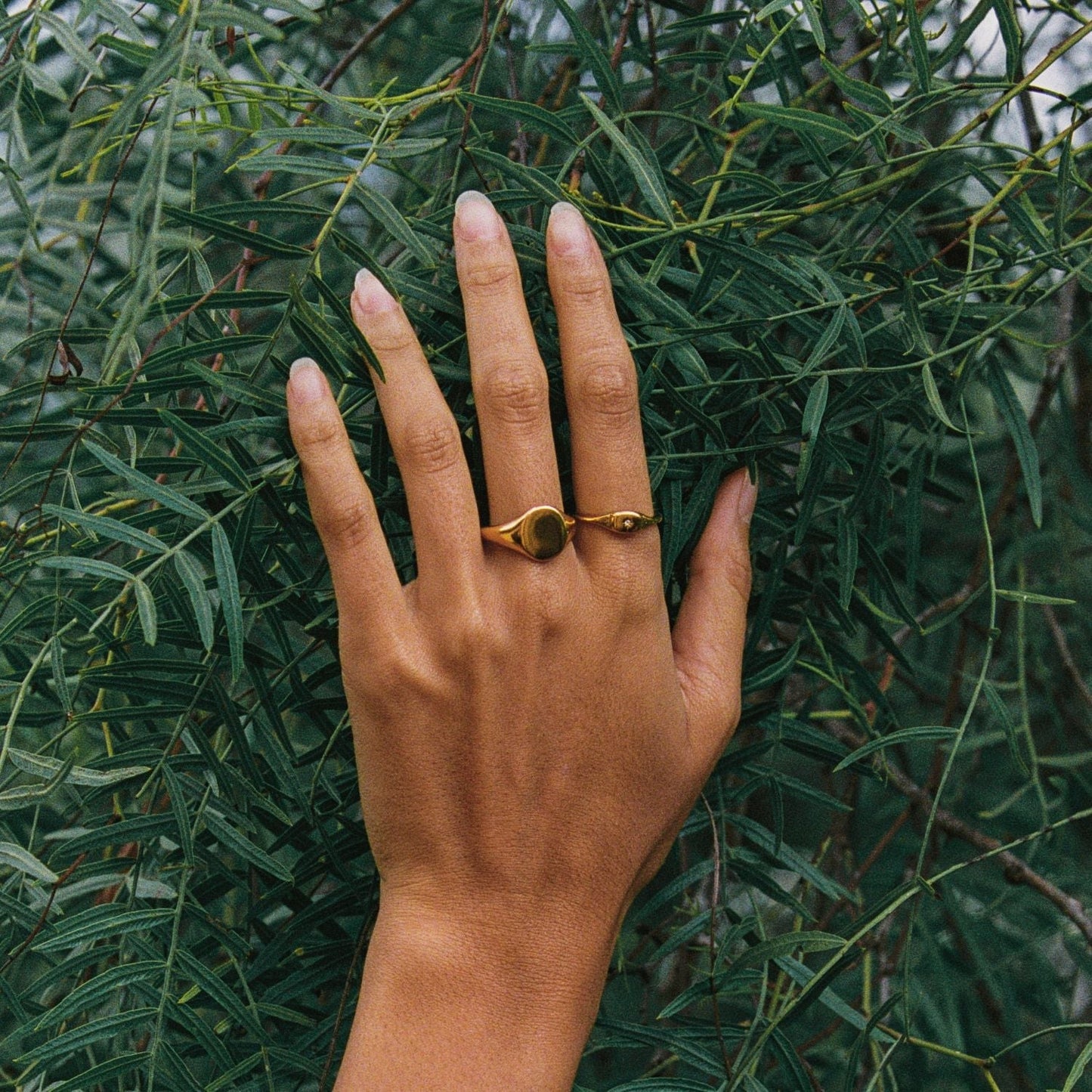 Anillo de sello ovalado