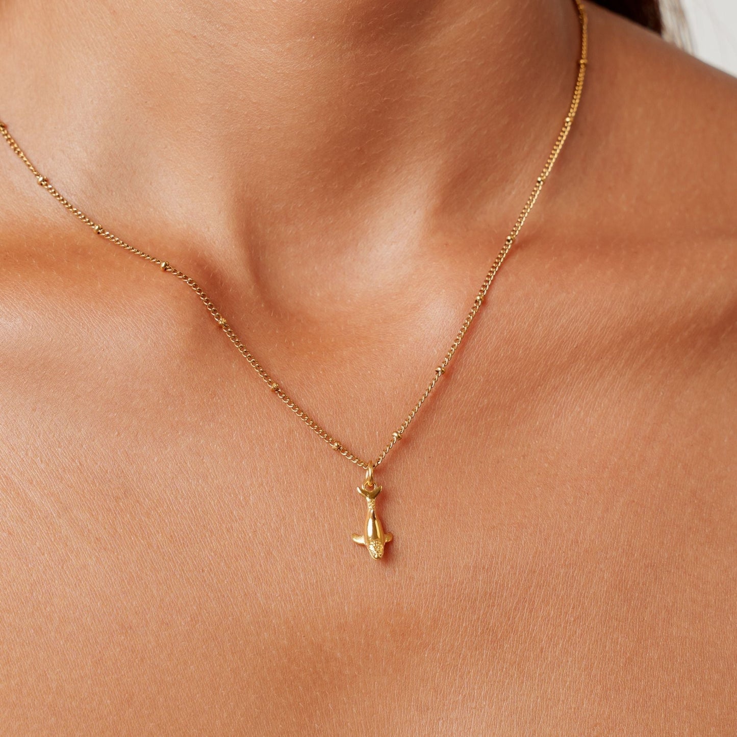 Collar de Ballena